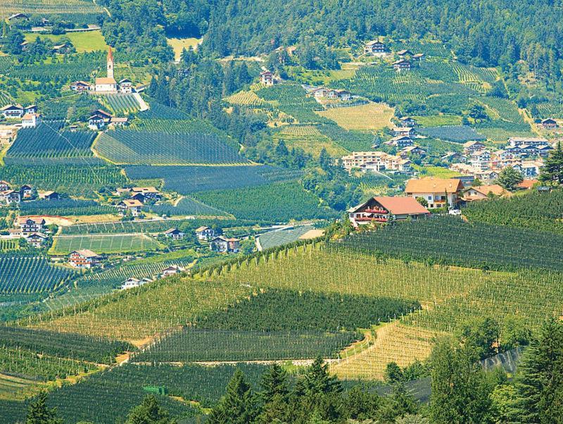 Pension Zum Burggraefler Schenna Εξωτερικό φωτογραφία